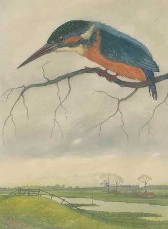 草地上树枝上的翠鸟`IJsvogel op een tak in een weidelandschap (1887) by Frans Everbag