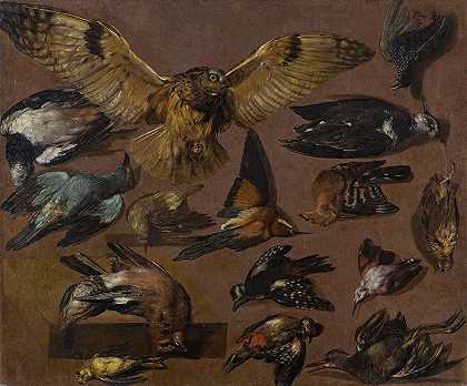 对猫头鹰和其他鸟类的研究`Studies Of An Owl And Other Birds by Pieter Boel