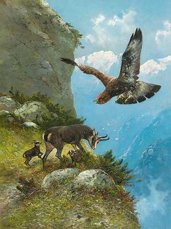 羚羊和金鹰`Chamois and Golden Eagle (1907) by Moritz Müller II