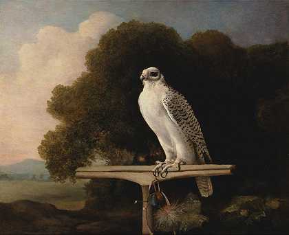 格陵兰猎鹰`Greenland Falcon (1780) by George Stubbs