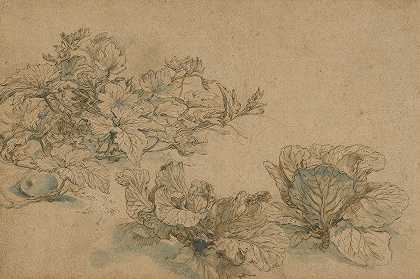 一种骨髓植物和卷心菜的研究`Studies of a Marrow Plant and Cabbages (1605–1614) by Abraham Bloemaert