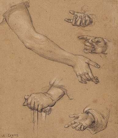 手的研究`Studies of Hands by Alphonse Legros