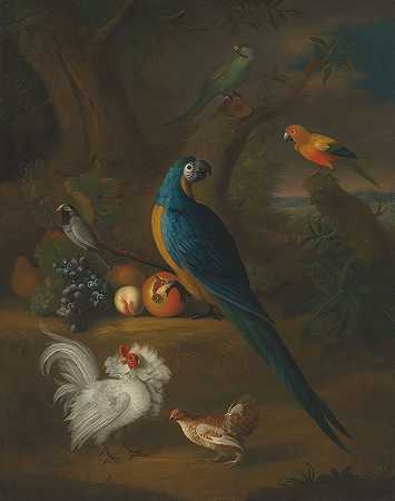 景观中的金刚鹦鹉和其他鸟类`A macaw and other birds in a landscape by Leonard Hübner