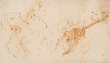 两项解剖学研究（écorchés）。一个被剥皮的男人的躯干，他的左臂抬起`Two anatomical Studies (écorchés). Flayed torso of a , his left arm raised (1628 – 1630) by Willem Panneels