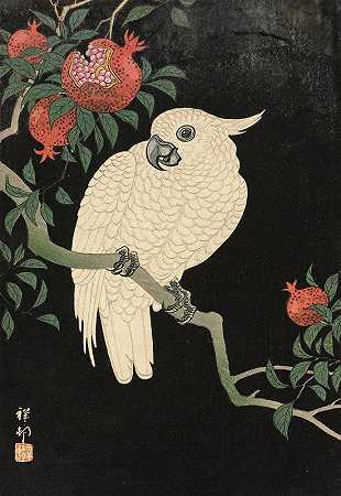 凤头鹦鹉和石榴`Cockatoo And Pomegranate (20th Century) by Ohara Koson