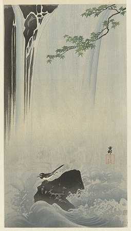 瀑布上的日本摇尾`Japanese wagtail at waterfall (1900 ~ 1930) by Ohara Koson