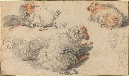 羊`Sheep by Nicolaes Pietersz. Berchem