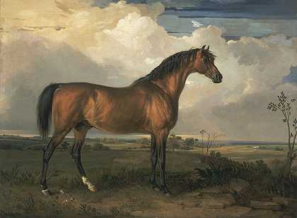 老鹰，一匹著名的种马`Eagle, a Celebrated Stallion (1809) by James Ward