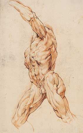 解剖学研究（écorchés）。一个被剥皮的走路的人转向左边`Anatomical Study (écorchés). Walking flayed man turned to the left (1628 – 1630) by Willem Panneels