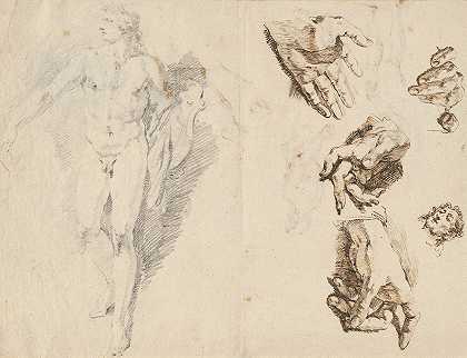阿波罗与艺术家研究s自己的手（recto）`Apollo and Studies of the Artists Own Hand (recto) (1730~1732) by Francesco Fontebasso