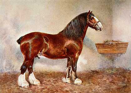 克莱德斯代尔种马，阿尔比恩王子`Clydesdale Stallion, Prince of Albion by Frank Babbage