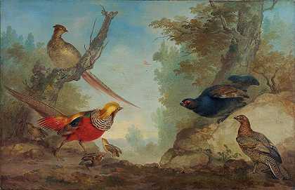 野鸡`Pheasants (1730 ~ 1760) by Aert Schouman