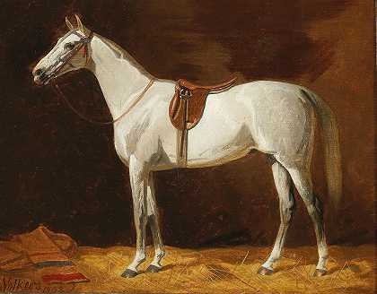 白马`A White Horse (1902) by Emil Volkers