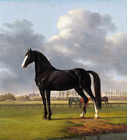 阿德里安·范德霍普（Adriaan van der Hoop）在草地上的小跑“De Vlugge”（速度最快的那一个）`Adriaan van der Hoop’s Trotter ‘De Vlugge’ (The Fast One) in a Meadow (1828) by Anthony Oberman