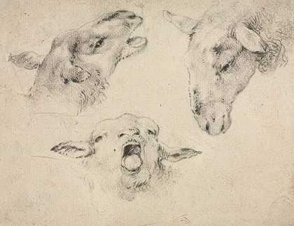 羊头`Sheep Heads (second or third quarter 1800s) by Wouterus Verschuur