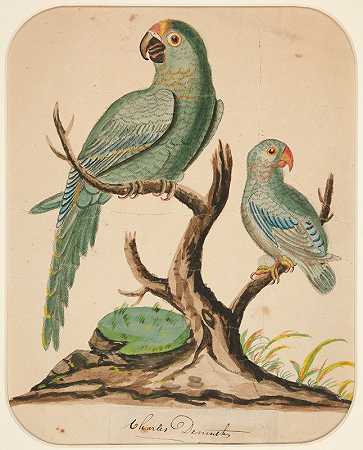 两只鹦鹉在一棵光秃秃的树上`Two Parrots on a Barren Tree (ca. 1916) by Charles Demuth