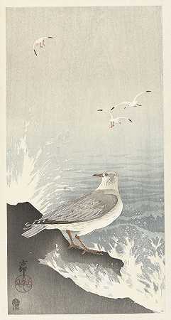 岩石上的海鸥`Seagull on rock (1900 ~ 1910) by Ohara Koson