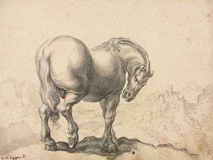 种马的研究`Study of a Stallion (first third 18th century?) by Giovanni Battista Foggini