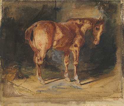 马的研究`Study of a Horse by Eugène Delacroix