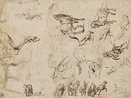 马的研究（verso）`Studies of Horses (verso) (c. 1612) by Jacques Callot