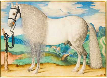 一匹拴在风景中的斑驳灰色种马`A Dappled Grey Stallion Tethered In A Landscape (late 16th Century) by Prague School