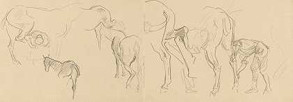 研究在前面给加略山的马钉鞋带（直肠）`Studies for ;Shoeing Calvary Horses at the Front (recto) (1918) by John Singer Sargent