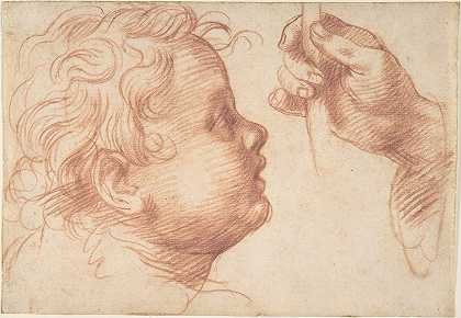 头和手的研究`Studies of a Head and a Hand (1510) by Andrea del Sarto
