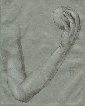 娃的手臂`Arm of Eve (1507) by Albrecht Dürer 