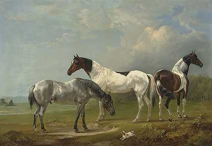 在广阔的风景中，有两只金枪鱼、一只灰色的猎犬和一只西班牙猎犬，还有远处的一座乡间别墅`Two Skewbalds, a grey and spaniel in an extensive landscape, a country house beyond (1846) by Edmund Bristow