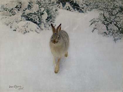 冬天的野兔`Hare in Winter (1905) by Bruno Liljefors