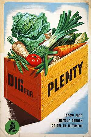 挖很多。在你的花园里种植食物或获得分配`Dig for Plenty. Grow food in your garden or get an allotment (between 1939 and 1946) by Mary Le Bon