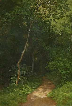 沃尔德威格森林跑道`Waldweg Forest Track by Robert Zünd
