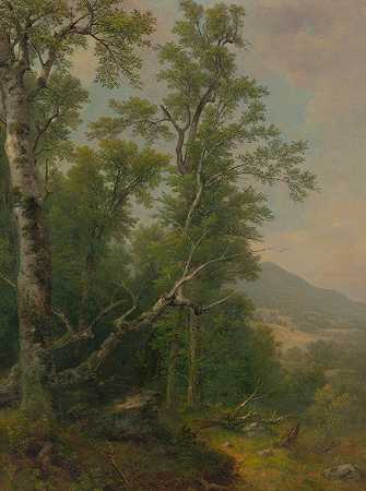 树木研究`Study of Trees (ca. 1850) by Asher Brown Durand