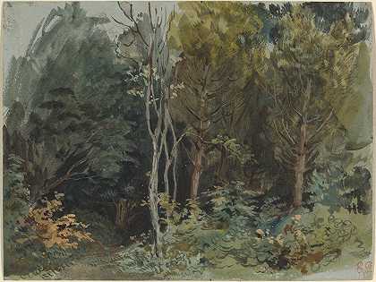 诺汉的树林边缘`The Edge of a Wood at Nohant (c. 1842~1843) by Eugène Delacroix
