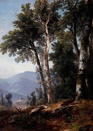 林地景观`Woodland Landscape (c.1850) by Asher Brown Durand