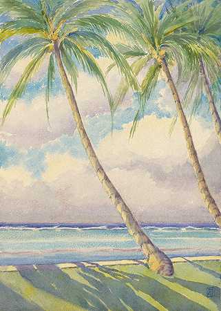 檀香山椰子树`Coconut Palms, Honolulu by John Ireland Howe Downes