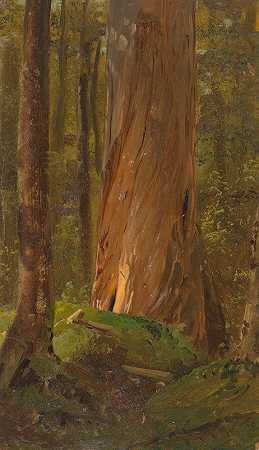 在缅因州森林学习`Study in the Maine Woods (1855–65) by Frederic Edwin Church