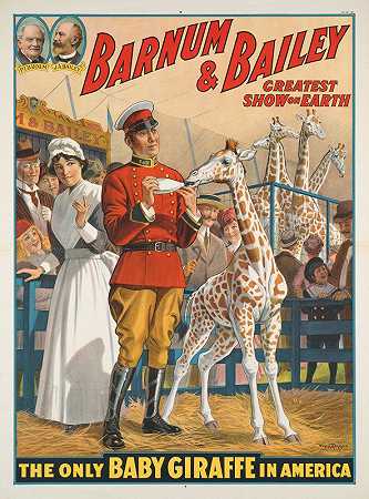 巴纳姆贝利世界上最伟大的表演：美国唯一的长颈鹿宝宝`Barnum & Bailey greatest show on earth : The only baby giraffe in America (1916)
