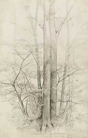 一片树林`A Stand of Trees (1840) by Heinrich Dreber