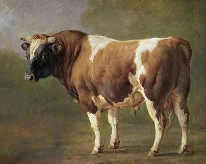 公牛研究`Study of a Bull (1830 ~ 1867) by Jacques-Raymond Brascassat