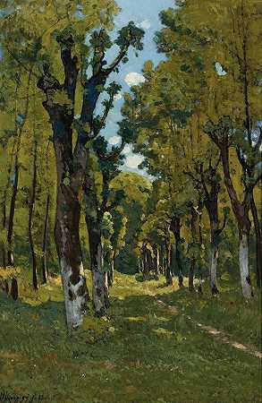 从椴树到尤恩的圣普莱尔（Sunlit Woodland Path）`Allé Des Tilleuls À Saint Prive, Yonne (Sunlit Woodland Path) (1887) by Henri-Joseph Harpignies