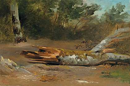 有树干的森林（jsle）`Forest with Tree Trunk (Ljsle) (1833) by François Diday
