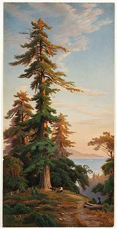 加州圣克鲁斯山红杉`Redwood Trees, Santa Cruz Mts., Cal (1874) by John Ross Key
