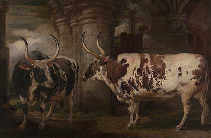 两头牛的肖像，这是鲍威尔伯爵的财产`Portraits of Two Extraordinary Oxen, the Property of the Earl of Powis (1814) by James Ward
