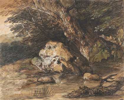 有岩石和植物的林地池塘`A Woodland Pool with Rocks and Plants by Thomas Gainsborough