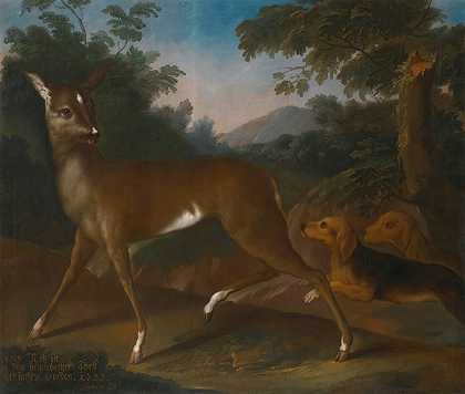 狗猎杀鱼子的风景`A Landscape With Dogs Hunting A Roe (1733) by Heinrich Lihl