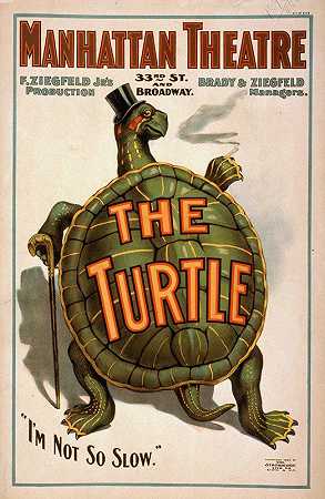 乌龟`The turtle (c1898) by Strobridge and Co