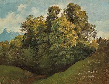 萨尔茨堡，树木与昂特斯堡对峙`Salzburg, Trees set against the Untersberg (1852) by Friedrich Zeller