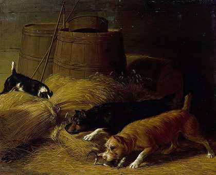 大麦捆中的老鼠`Rats amongst the Barley Sheaves (1851) by Thomas Hewes Hinckley