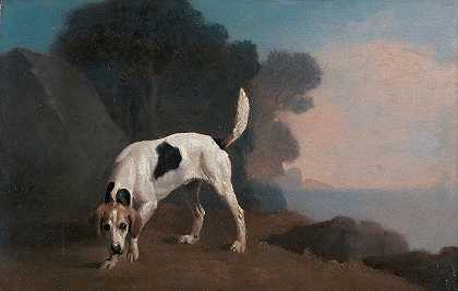 嗅到气味的猎狐犬`Foxhound on the Scent (ca. 1760) by George Stubbs